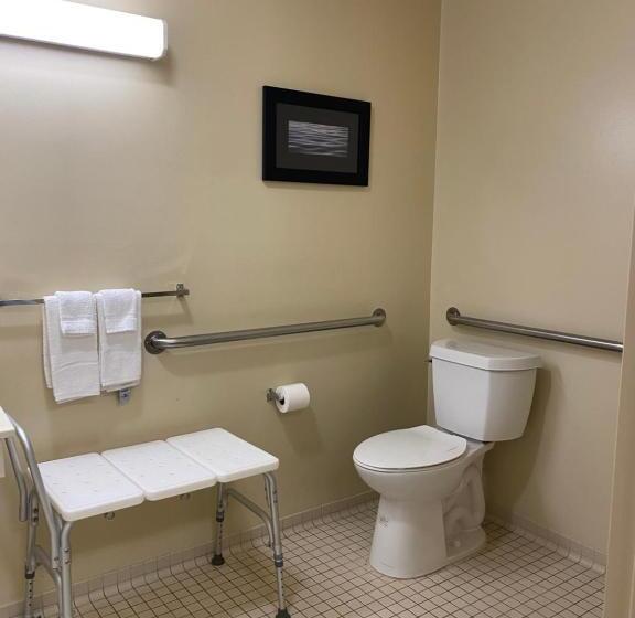 Номер Стандарт Кровать Квин Адаптированный для Инвалидов, Suburban Studios Auburn Hills   Detroit