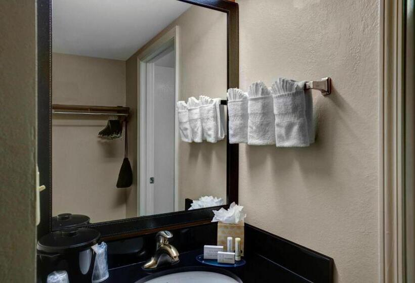 キングサイズベッドのスイートルーム, Fairfield Inn & Suites By Marriott Atlanta Alpharetta