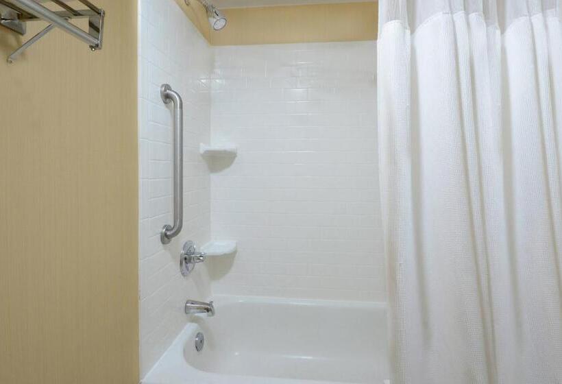 带大床的标准间, Fairfield Inn & Suites By Marriott Charlottesville North