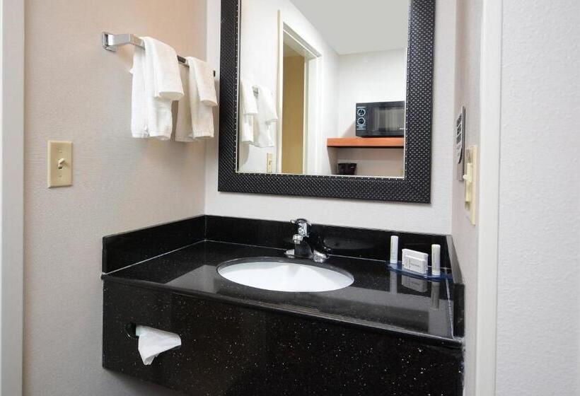 带大床的标准工作室, Fairfield Inn & Suites By Marriott Charlottesville North