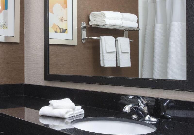 キングサイズベッドのスタンダードルーム, Fairfield Inn & Suites By Marriott Quincy