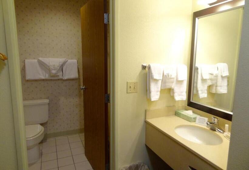 스탠다드 룸, Ramada By Wyndham Coeur D'alene