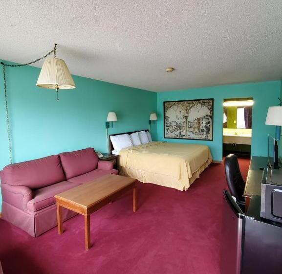 스탠다드 룸 킹사이즈 침대, Gray Plaza Motel West Frankfort