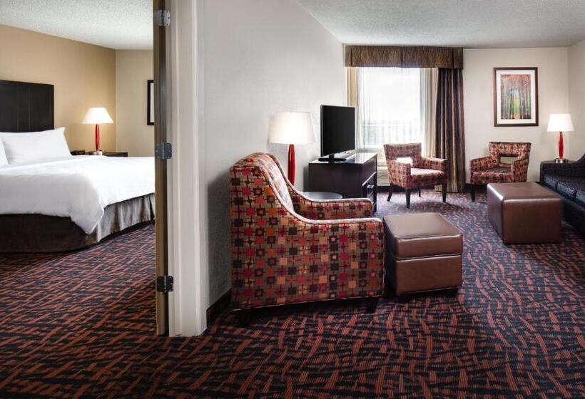 سوئیت 2 خوابه, Holiday Inn Wichita East I 35, An Ihg