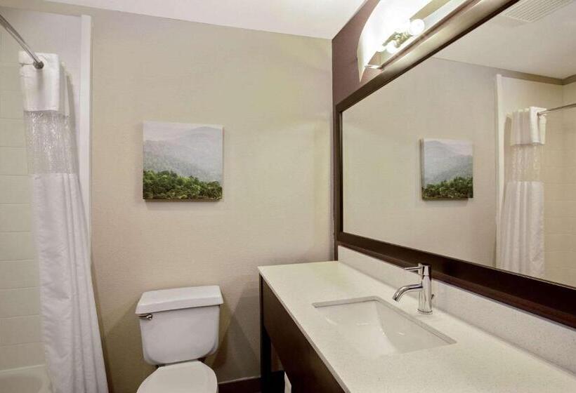 장애인을 위한 킹사이즈 침대 스탠다드 룸, La Quinta By Wyndham Fayetteville