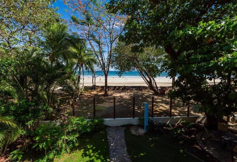 סוויטת סופריור, The Coast Beachfront