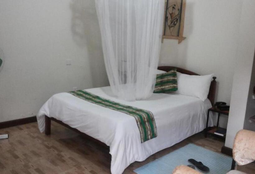 اتاق استاندارد با چشم‌انداز دریاچه, White Castle Hotel Arua