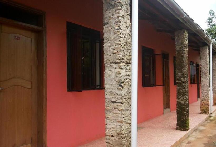اتاق استاندارد, White Castle Hotel Arua
