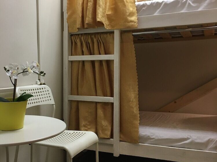 تختخواب در اتاق مشترک, Pasternak Hostel
