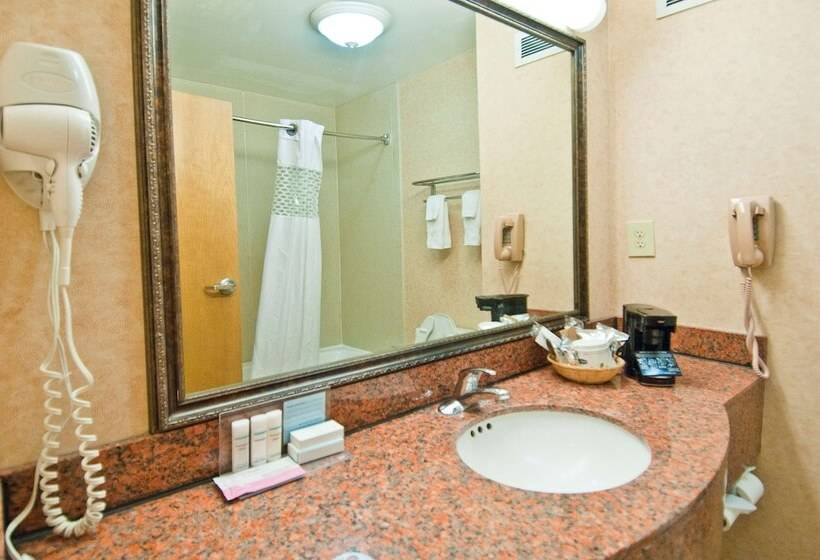 스탠다드 룸 더블 침대 2개, Hampton Inn Lafayette I 10
