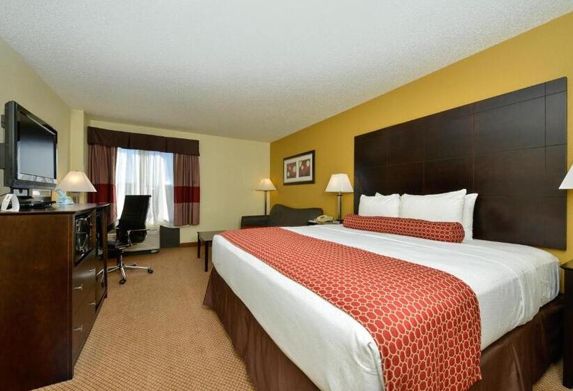 스탠다드 룸 킹사이즈 침대, Spark By Hilton Denver Tech Center Greenwood Village