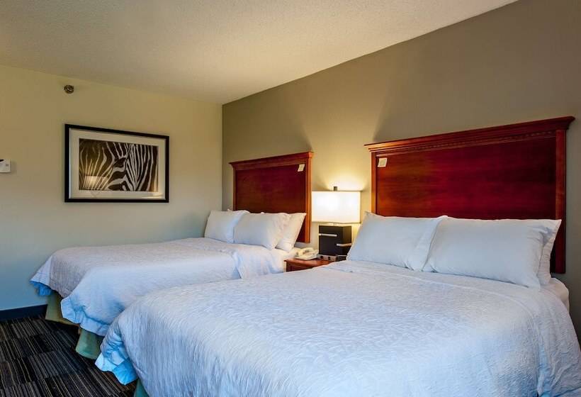 اتاق استاندارد با 2 تخت دوبل, Hampton Inn By Hilton Bowling Green