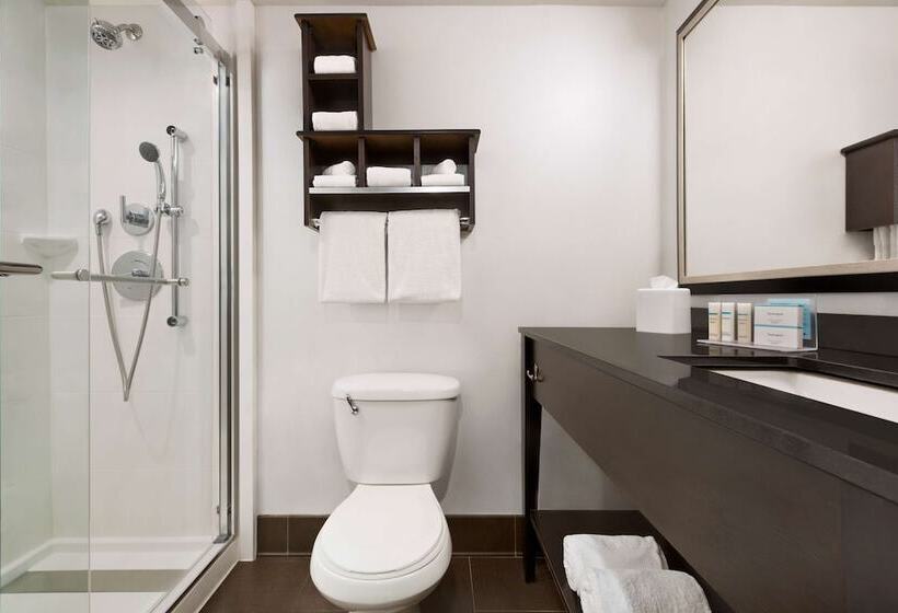 스탠다드 스튜디오 더블 침대, Hampton Inn Denverwest/golden