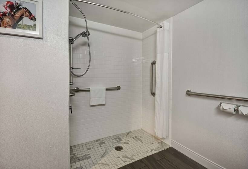 适合残疾人使用的标准间, Hampton Inn I75 Lexington/hamburg Area