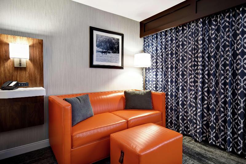带大床的标准工作室, Hampton Inn I75 Lexington/hamburg Area