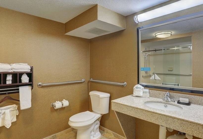 Standaard Studio met Tweepersoonsbed, Hampton Inn Nashvillei24 Hickory Hollow
