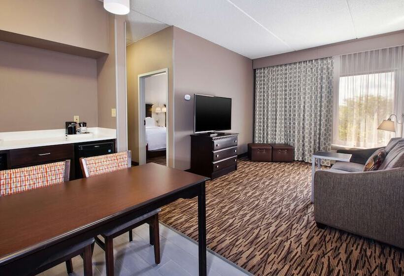 Люкс, Hampton Inn & Suites Clevelandairport/middleburg Heights