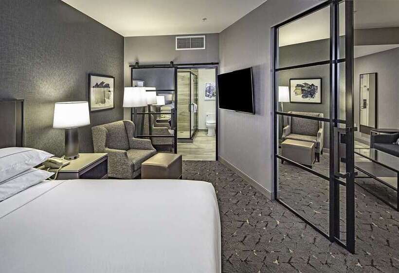 سوئیت با تخت بزرگ, Doubletree By Hilton Washington Dc North/gaithersburg