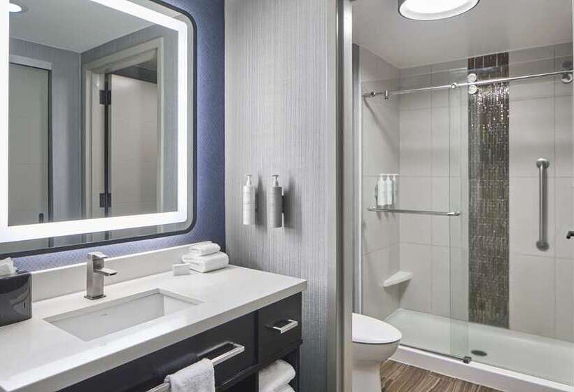 سوئیت با تخت بزرگ, Doubletree By Hilton Washington Dc North/gaithersburg