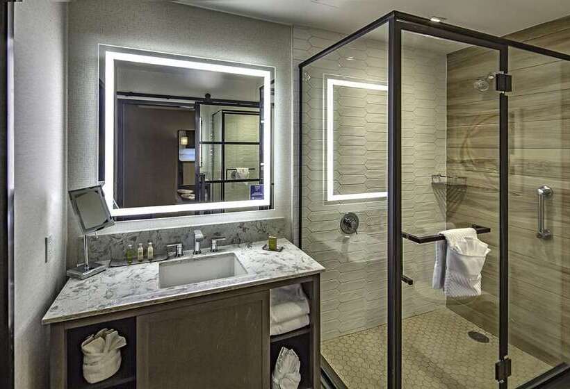 سوئیت با تخت بزرگ, Doubletree By Hilton Washington Dc North/gaithersburg