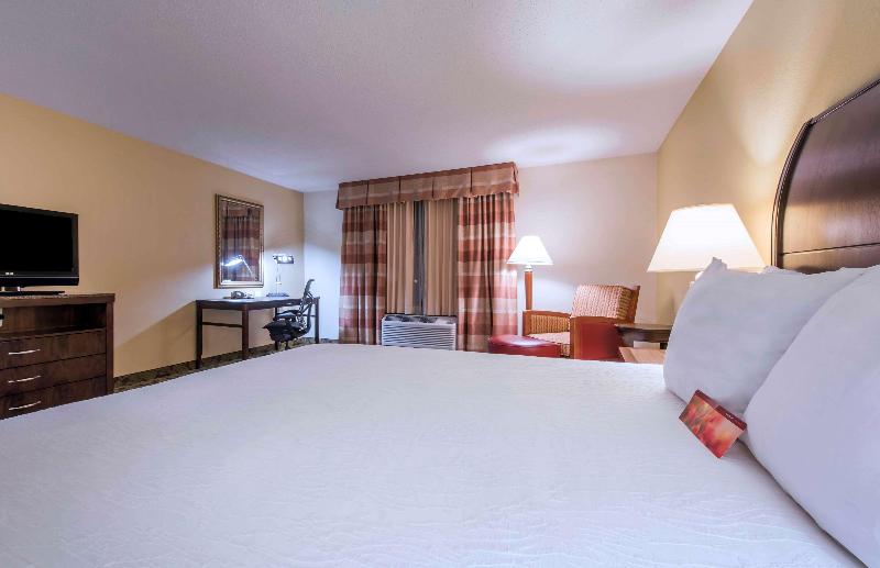 キングサイズベッドのスタンダードルーム, Hilton Garden Inn Arcadia/pasadena Area