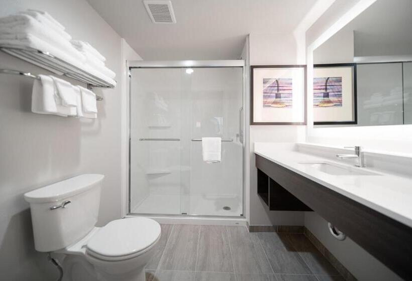 Стандартный Номер Кровать Кинг, Holiday Inn Kearney, An Ihg