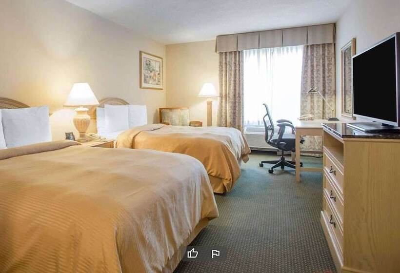 带2个双人床的标准工作室, La Quinta Inn & Suites By Wyndham South Holland