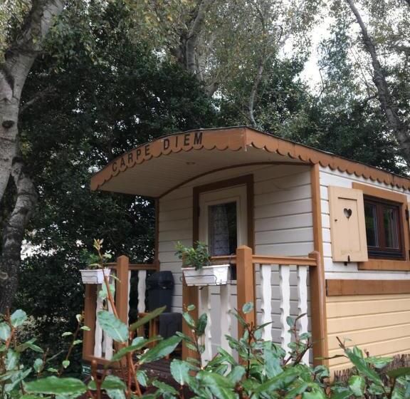 اتاق استاندارد, Des Roulottes En Provence