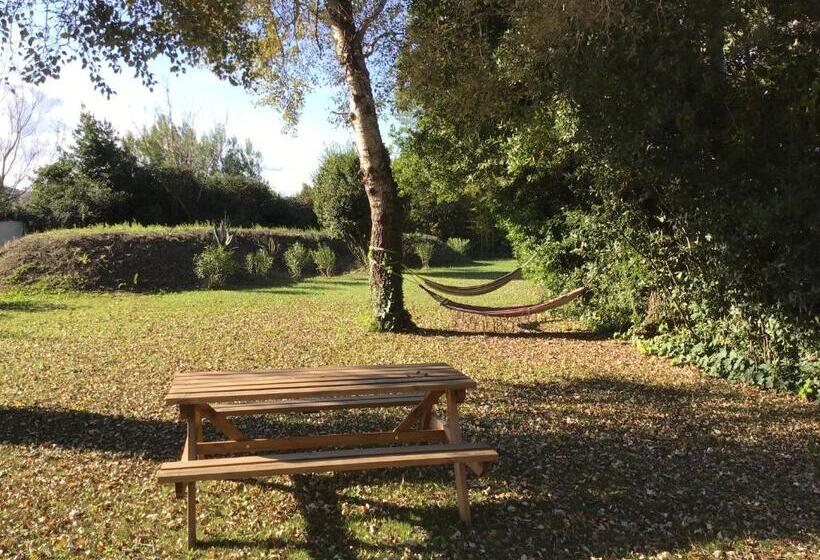 اتاق استاندارد, Des Roulottes En Provence