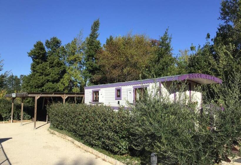 اتاق استاندارد, Des Roulottes En Provence