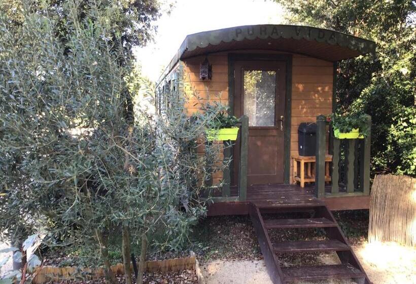 اتاق استاندارد, Des Roulottes En Provence