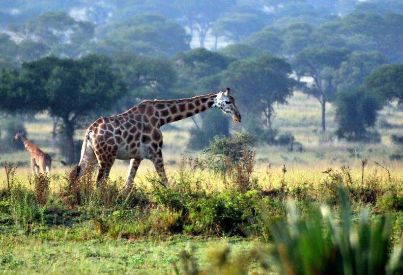 خانه 1 خوابه, Victoria Lake View Guesthouse & Safaris