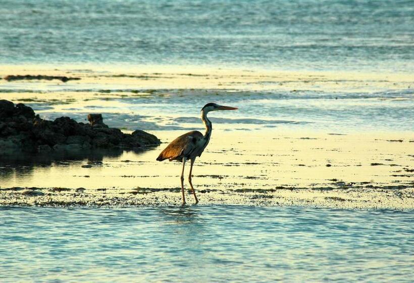 خانه 1 خوابه, Victoria Lake View Guesthouse & Safaris