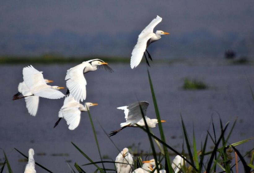 خانه 1 خوابه, Victoria Lake View Guesthouse & Safaris