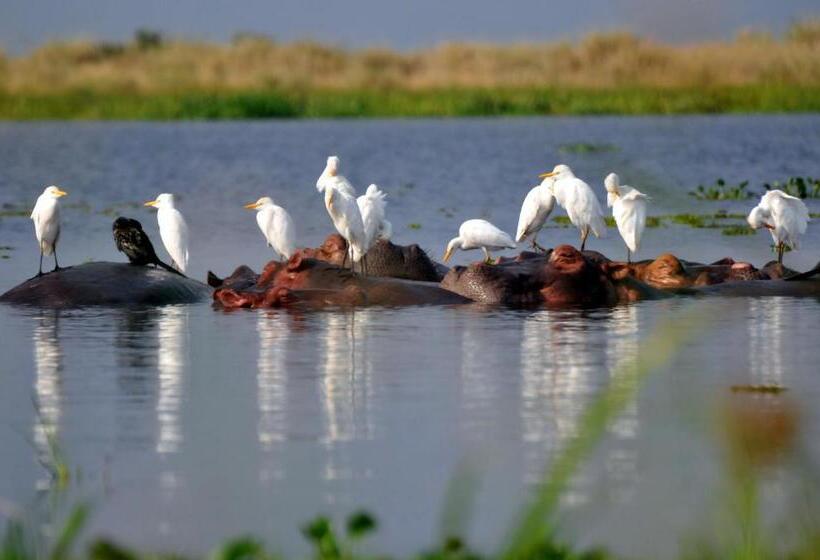 خانه 1 خوابه, Victoria Lake View Guesthouse & Safaris