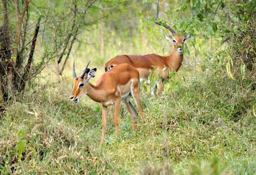 خانه 1 خوابه, Victoria Lake View Guesthouse & Safaris