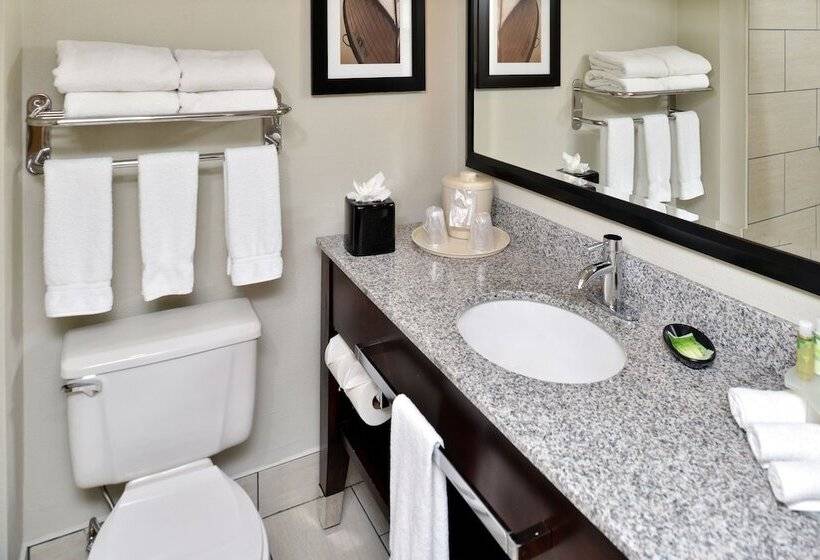 スイート, Holiday Inn Express Hotel & Suites Tampa Rocky Point Island, An Ihg