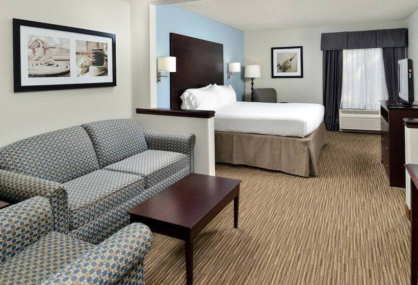 スイート, Holiday Inn Express Hotel & Suites Tampa Rocky Point Island, An Ihg