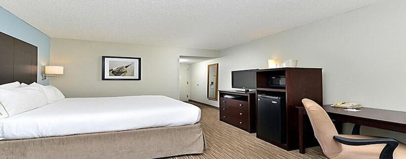 景色の見えるスイートルーム, Holiday Inn Express Hotel & Suites Tampa Rocky Point Island, An Ihg