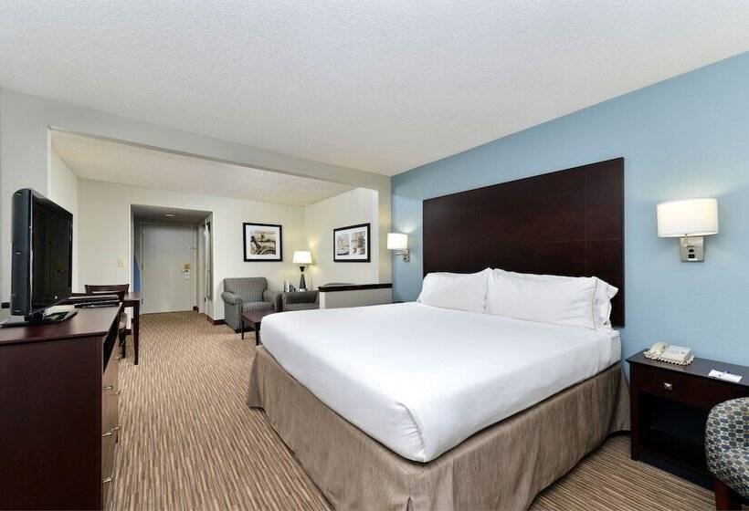 景色の見えるスイートルーム, Holiday Inn Express Hotel & Suites Tampa Rocky Point Island, An Ihg