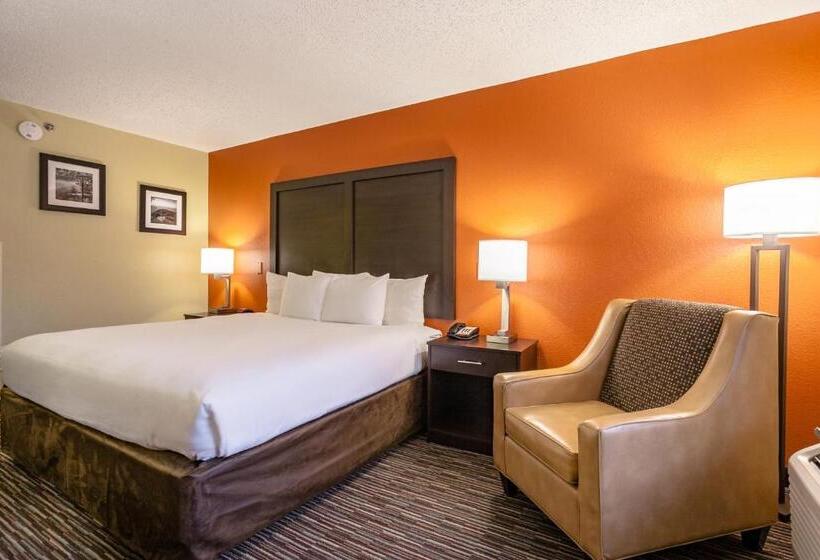 اتاق استاندارد با تخت بزرگ, Clarion Inn Biltmore Village