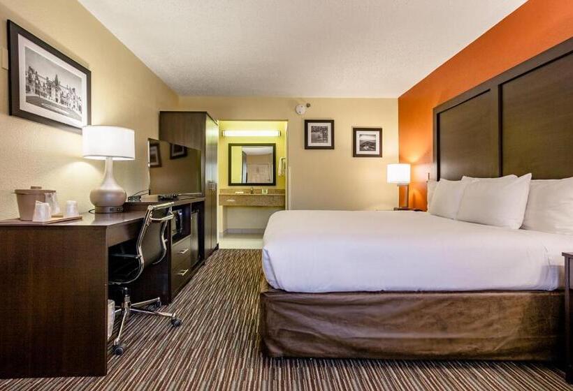 اتاق استاندارد با تخت بزرگ, Clarion Inn Biltmore Village