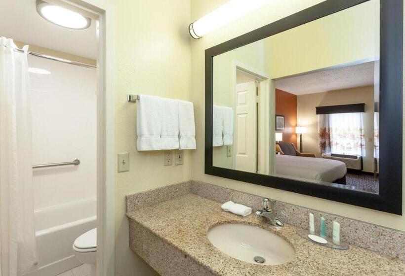 اتاق استاندارد با تخت بزرگ, Clarion Inn Biltmore Village
