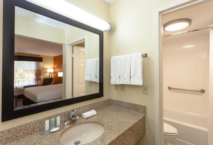 اتاق استاندارد با تخت بزرگ برای معلولان, Clarion Inn Biltmore Village