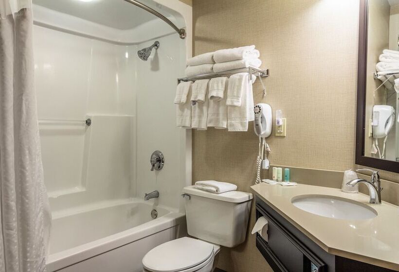 Номер Стандарт 2 Двуспальные Кровати, Clarion Inn