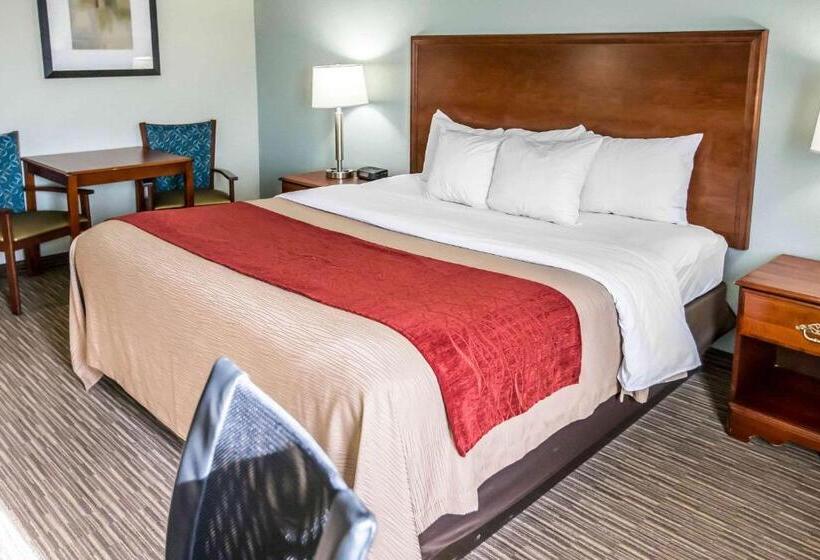 Номер Стандарт Кровать Кинг Адаптированный для Инвалидов, Comfort Inn