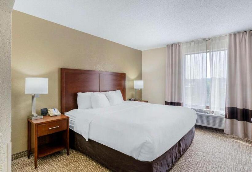 Люкс Кровать Кинг, Comfort Inn & Suites
