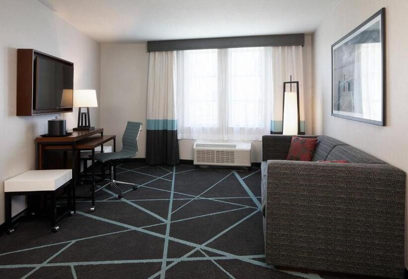 Люкс Executive Кровать Кинг, Fairfield Inn & Suites By Marriott Camarillo