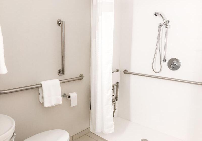 Стандартный Номер Кровать Кинг, Holiday Inn Express Statesboro, An Ihg