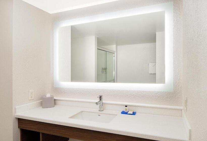 Студио Стандарт Кровать Кинг, Holiday Inn Express Statesboro, An Ihg